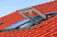 Goole roof window